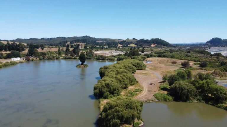 movie download site overview